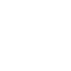 Made in India icon