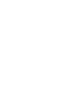 Tinytootle